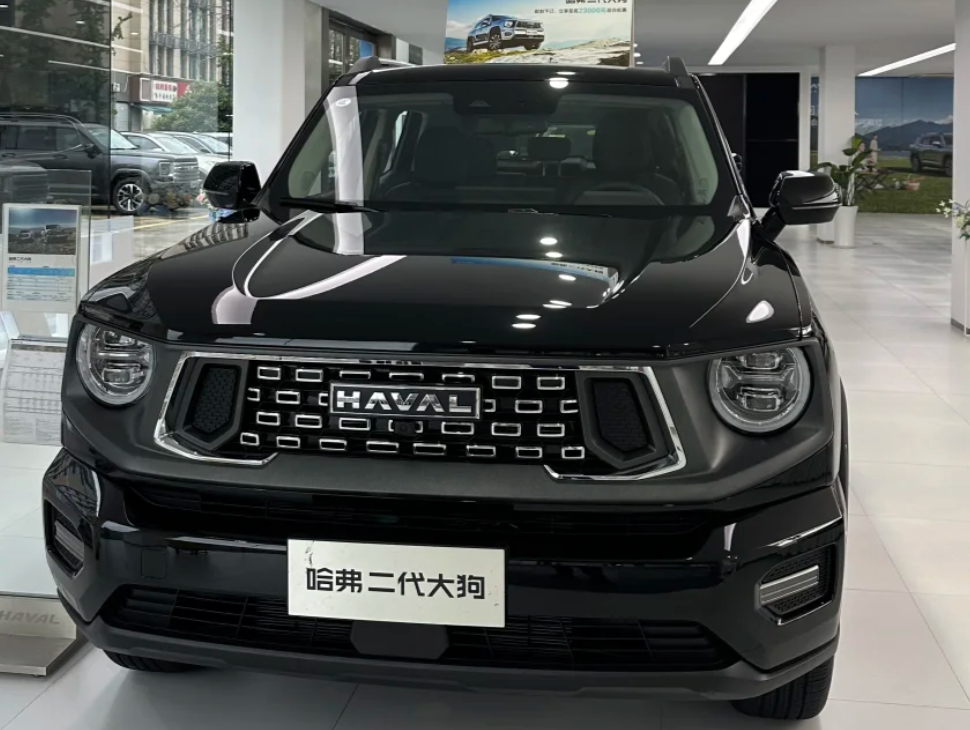 Haval Big Dog 2